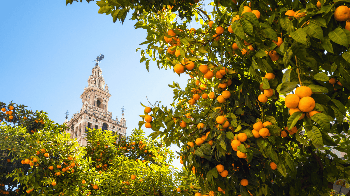 Andalucia: What to See Article Picture