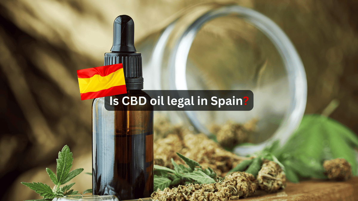 Is CBD oil legal in Spain? - Article Image 