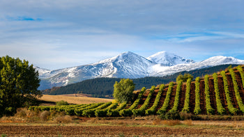 Spanish wine regions