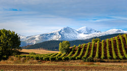 Spanish wine regions