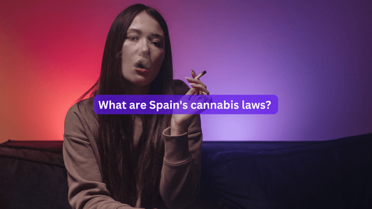 What are Spain's cannabis laws? 