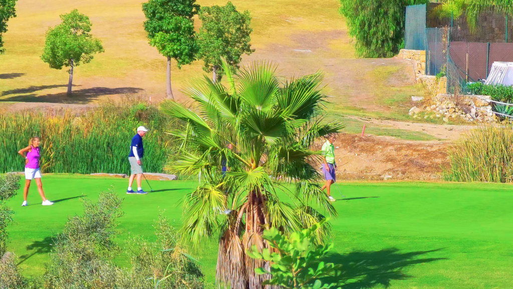 Golfers on a green surrounded by palm trees and landscaped grounds in Estepona.